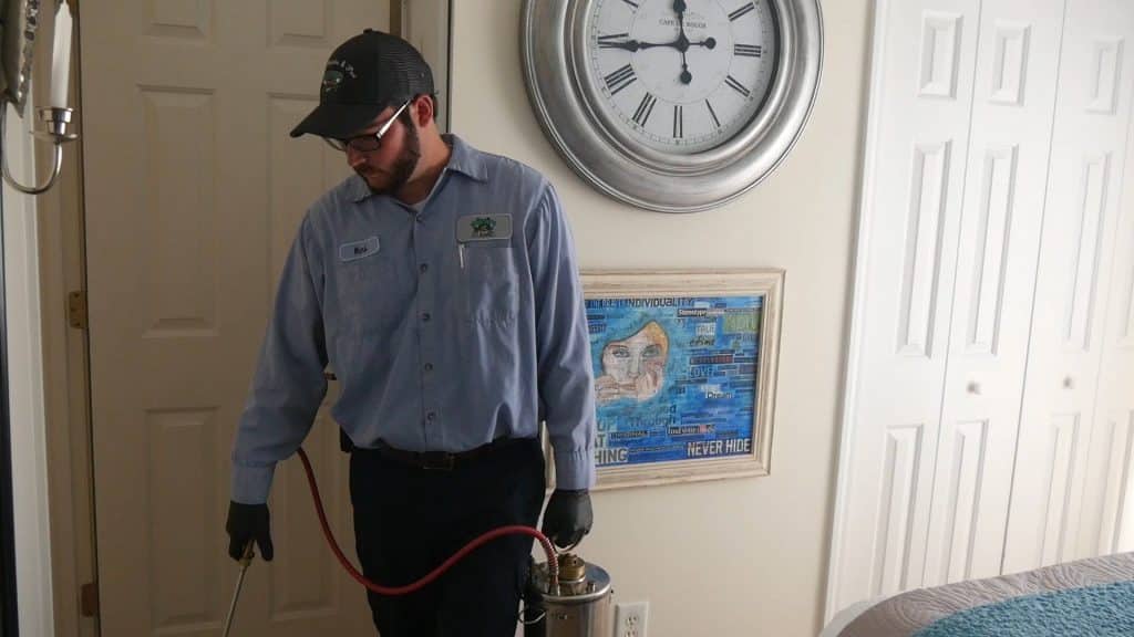 Pest Exterminator — Little River, SC — Strand Termite & Pest Control Company