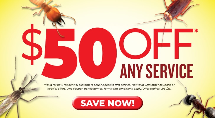 Save $50 off Strand Pest Control